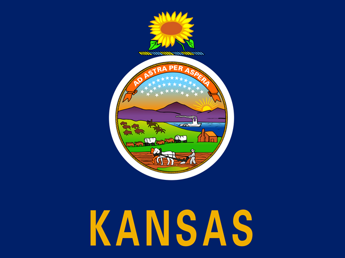 flag-of-kansas-in-blue-field-with-state-seal-below-a-sunflower-at-center